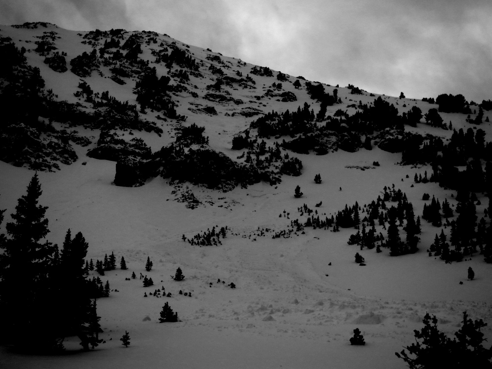 Mt. Blackmore Natural Avalanche