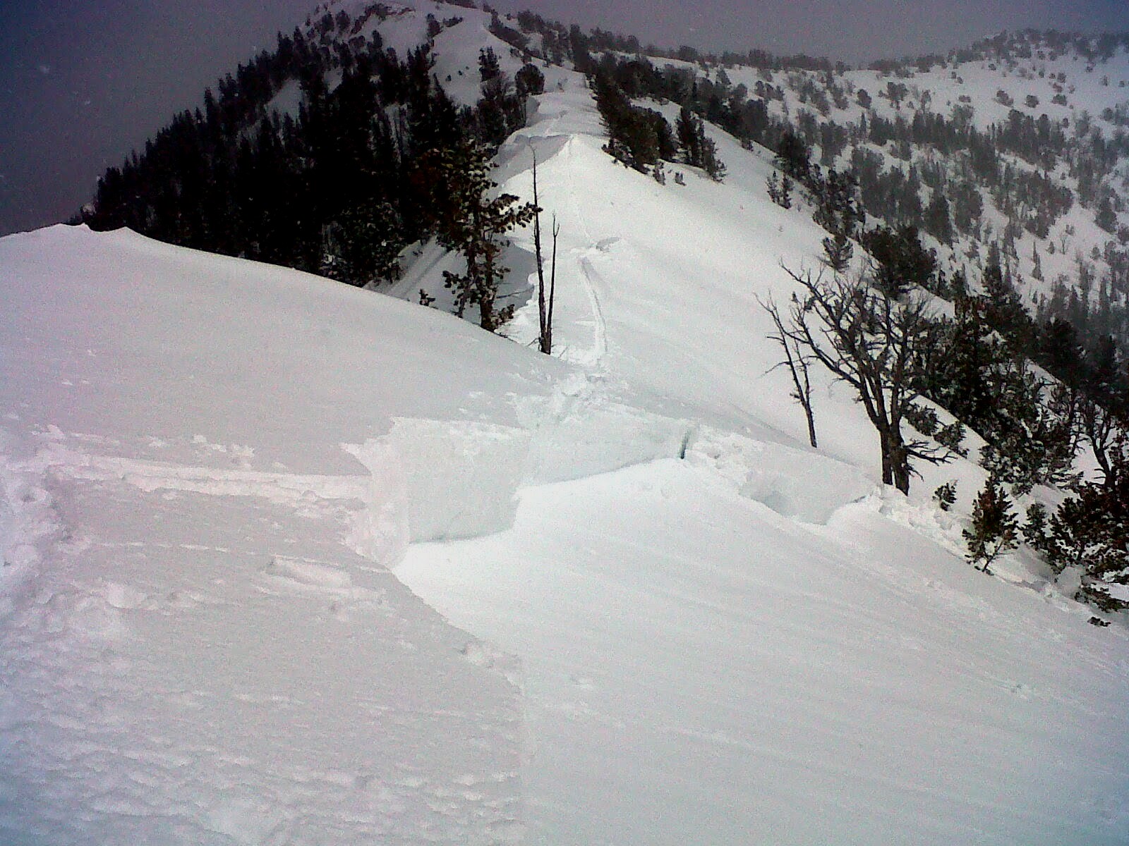 Lionhead Avalanche Crown