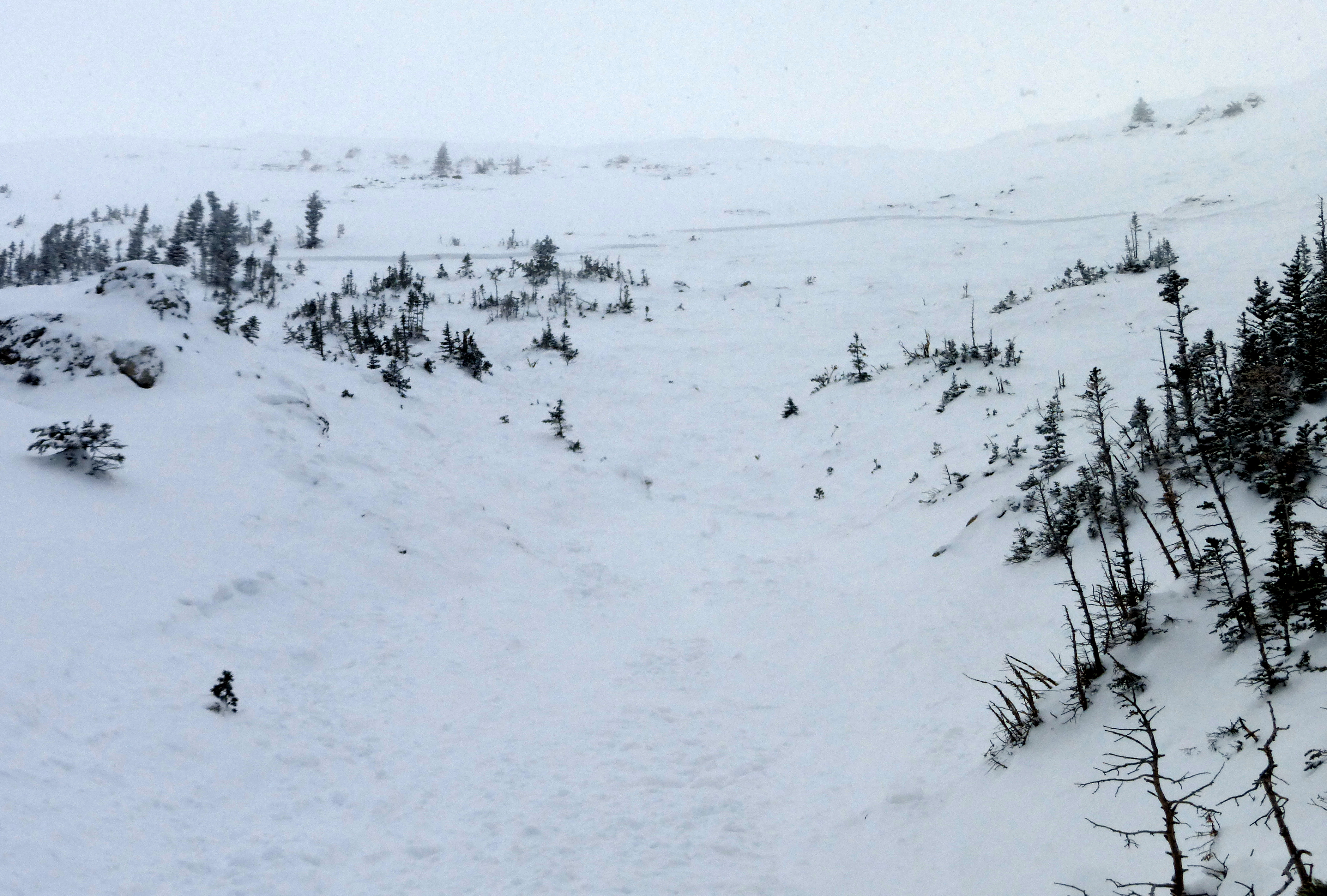 Football Field Avalanche