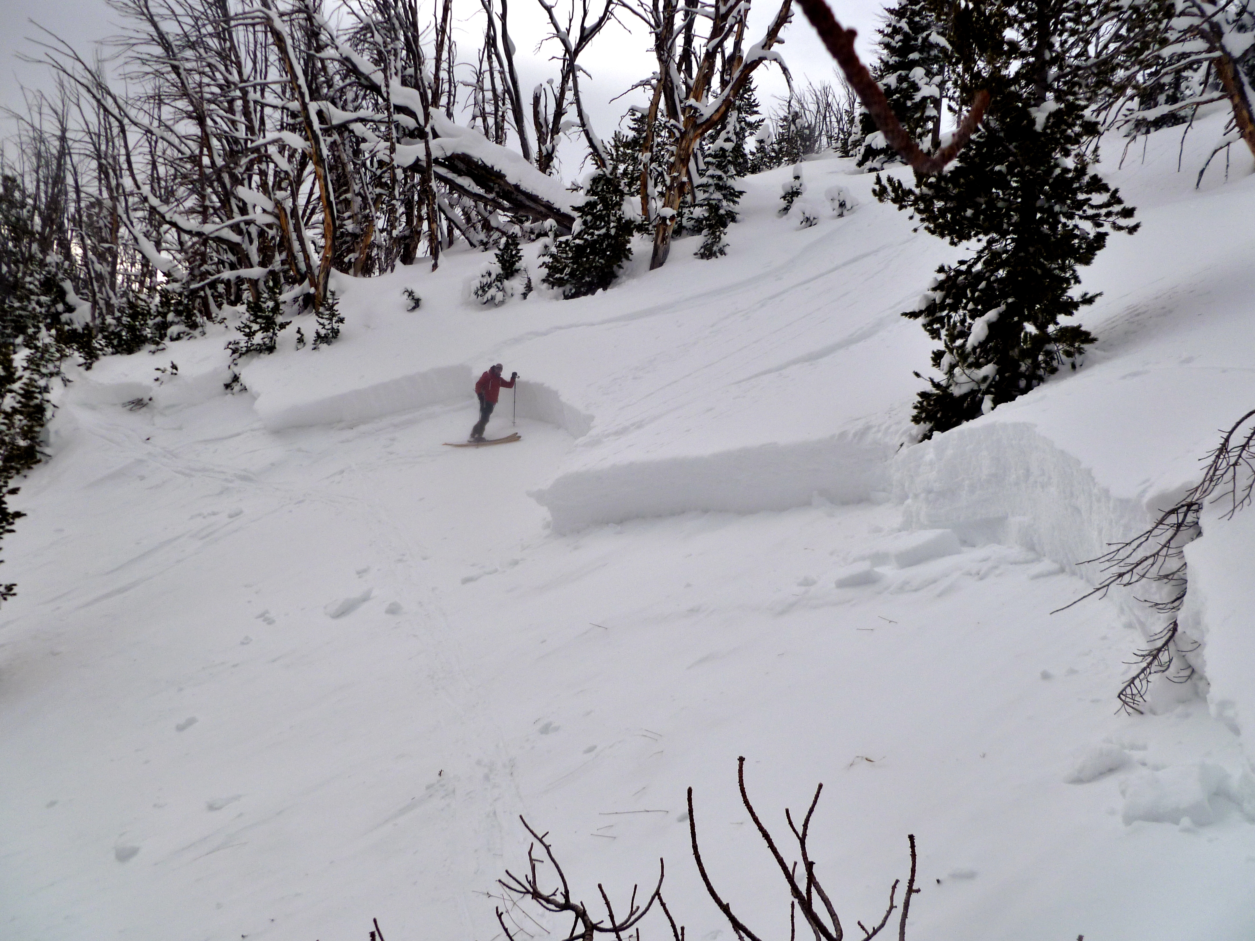 Skier Triggered Avalanche Beehive Basin