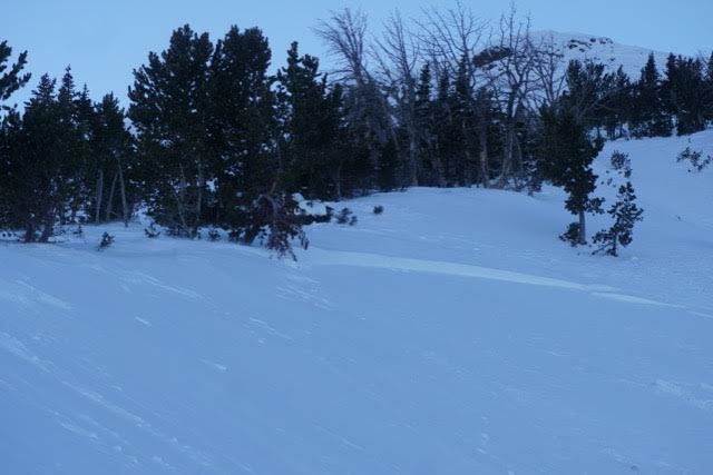 Emigrant Peak Avalanche   11/8/15