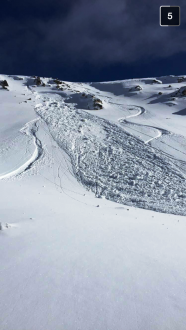 Avalanche in backcountry above Gardiner