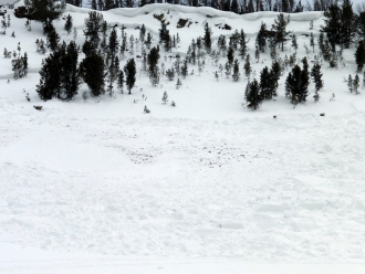 Recent Avalanche - Northern Madison Range