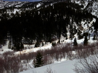 Jones Creek Avalanche Debris