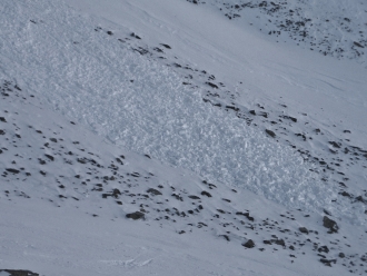 Hardscrabble Avalanche Debris