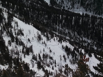 Wet Slab Avalanche, west side Bridger Range